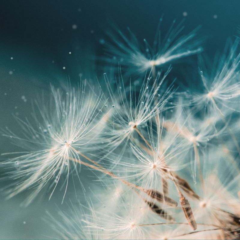 integrowanie oddechem